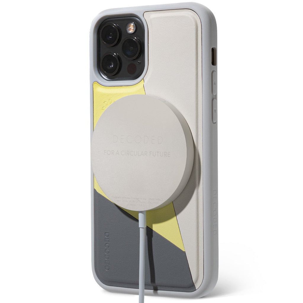 iPhone 12 Back Cover
